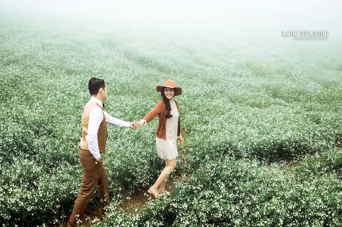 Cánh đồng bát ngát hoa cải trắng ở Mộc Châu
